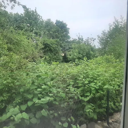 An Der Holthemme Дом отдыха