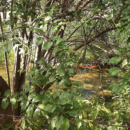 An Der Holthemme Hébergement de vacances Wernigerode