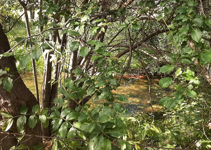 An Der Holthemme Casa de Férias Wernigerode